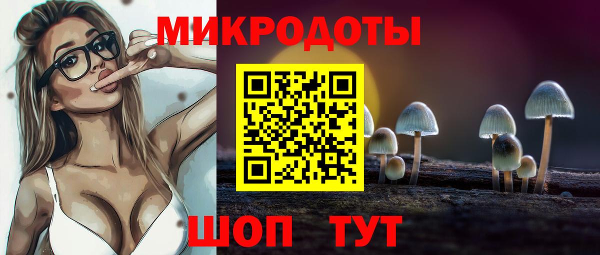 Псилоцибиновые грибы Psilocybine cubensis Барнаул